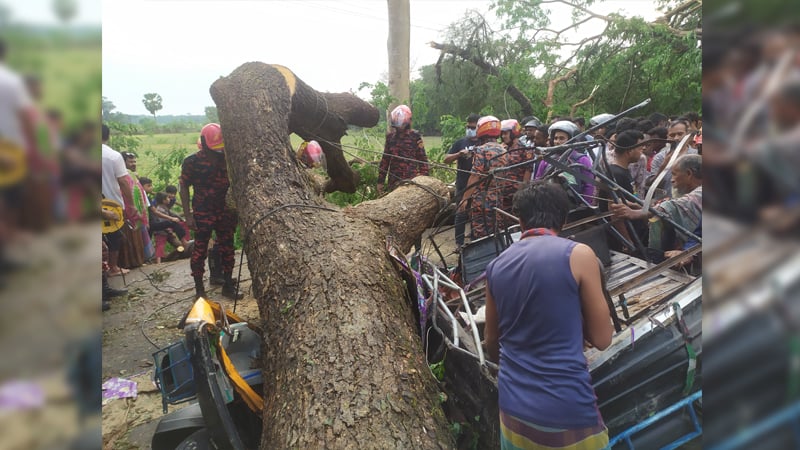 দুমকীতে কালবৈশাখী ঝড়ে বিধ্বস্ত শতাধিক ঘরবাড়ি, আহত দুই